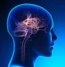 Neurofeedback